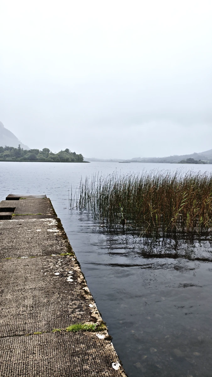 Jetty and reeds at Glenade Lough View in County Leitrim, Ireland