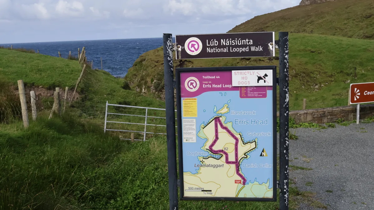 Erris Head Loop Walk trailhead sign in County Mayo, Ireland, with a route map and a "Strictly no dogs" notice.