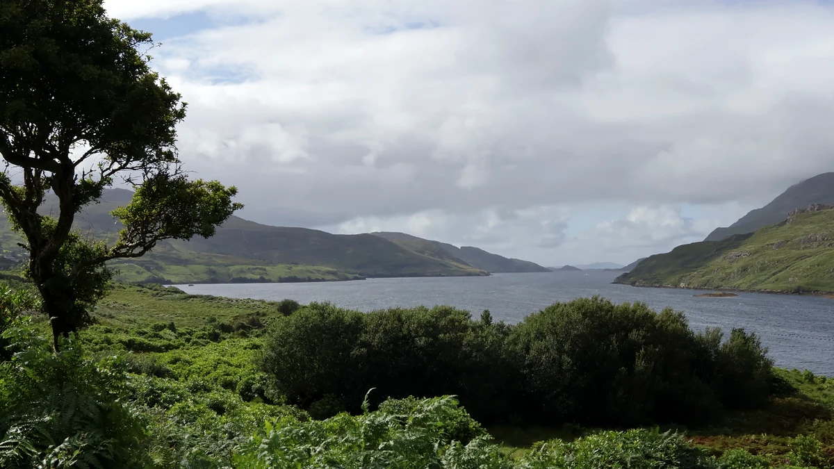 Killary Fjord Viewpoint overlooking Killary Harbour and the surrounding mountains in Connemara, Ireland
