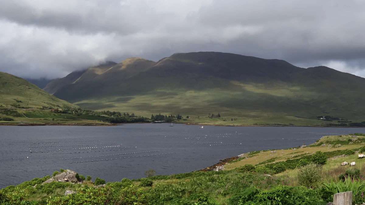 Killary Harbour with mountains and aquaculture lines seen from the N59 viewpoint in Connemara