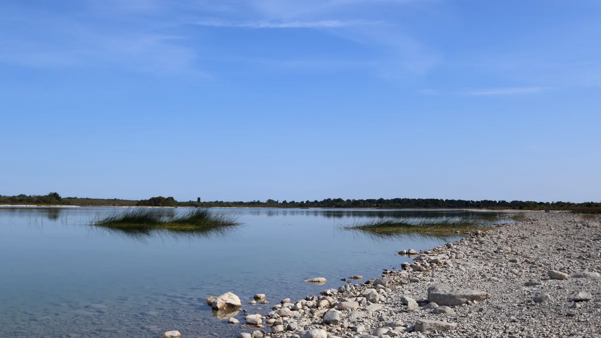 Clear shallow water over pale limestone stones at Lough Bunny, Co. Clare, with reeds, a stony shore and a wide blue sky